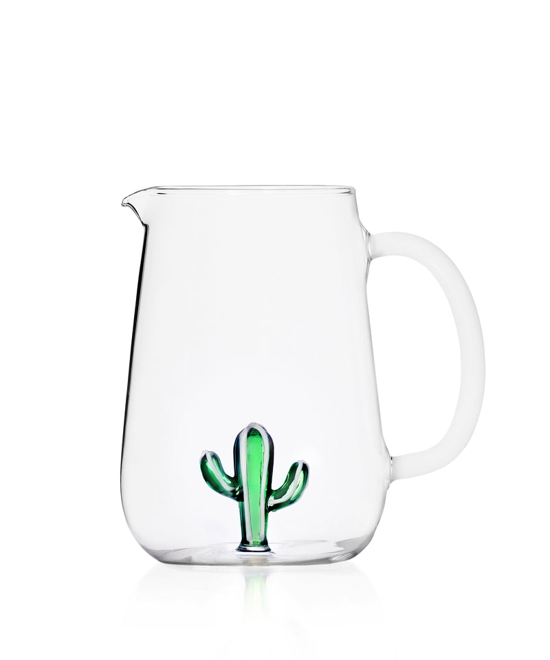 Pitcher Green Cactus Collection Desert plants
