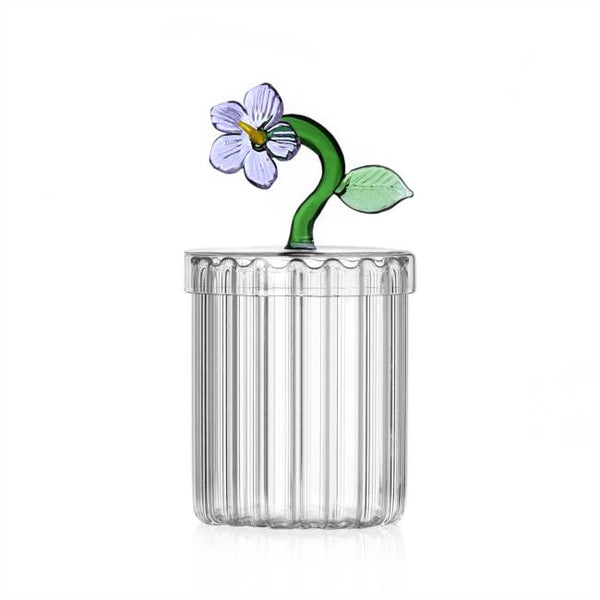 Botanica Collection; Optical Canister in Glass