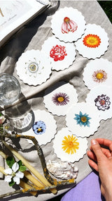 Coaster Set - Blossom