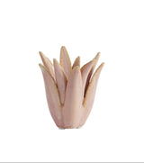 Candle Holder, Cactus - Coral colour