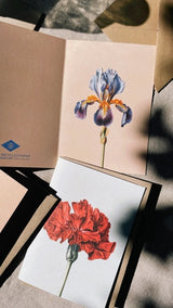 Carnation Leporello Greeting Card