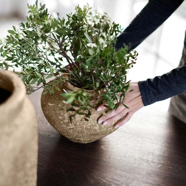 Pot / Vase - Beige Terracotta
