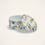 Goodie Jar - Borboni White