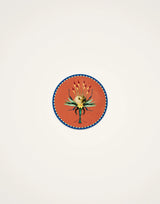 Disk Coasters Set Of 4 - Flying Friends