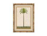 Palm Tree Wall Art with a Bamboo Frame - 1