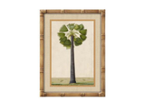 Palm Tree Wall Art with a Bamboo Frame - 2