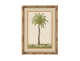 Palm Tree Wall Art with a Bamboo Frame - 4