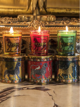 Candelina Peperoncino Verde