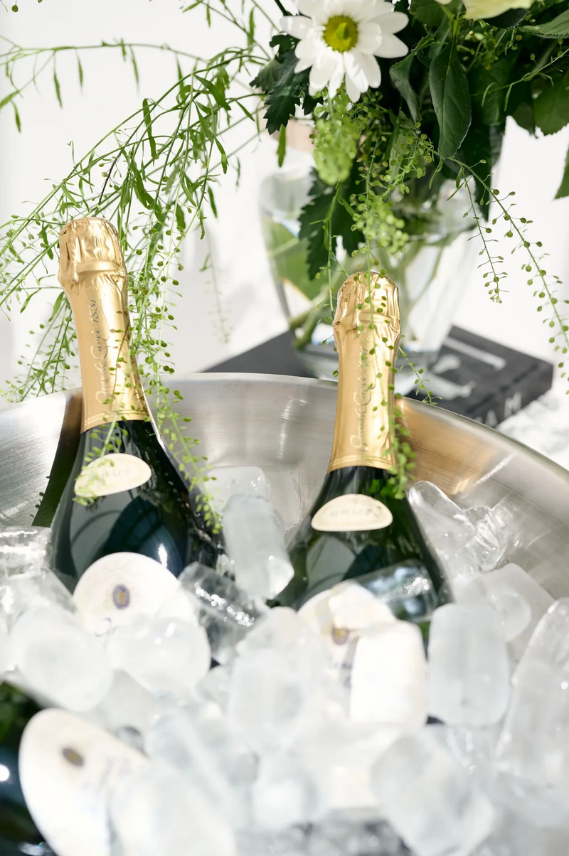 Bottle Cooler for Champagne - Stainless Steel