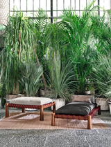 Sunbed - Outdoor Gervasoni Guna Collection