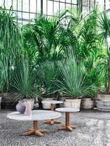Coffee Table - Outdoor Gervasoni Jeko Collection