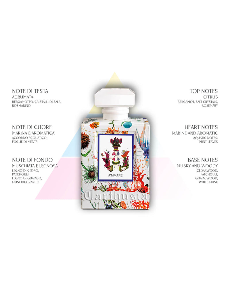 Eau De Perfum - A'mmare