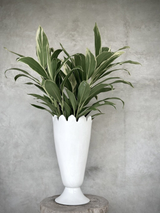 Vase - White L