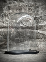 Glass dome on a Black Base