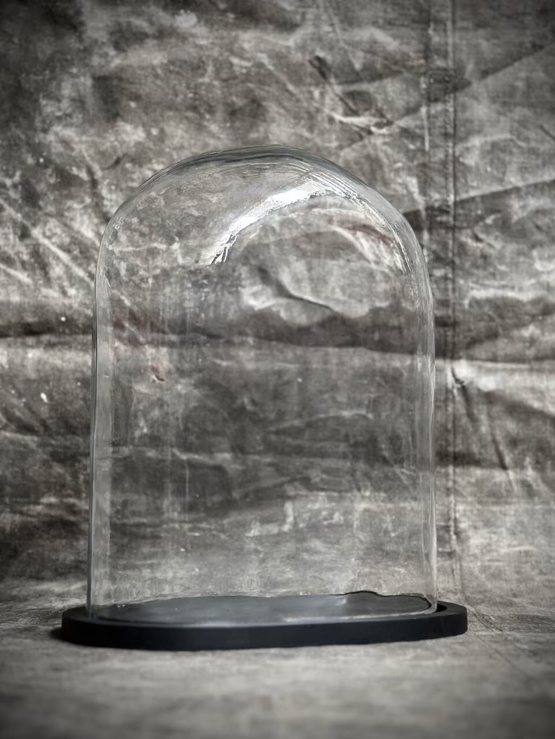 Glass dome on a Black Base