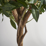 Bay Leaf Artificial Plant