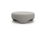 L size Coffee Table - Whale - Ash Collection