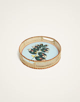 Disk Placemat - Cork Parrotstem (Set of 2)