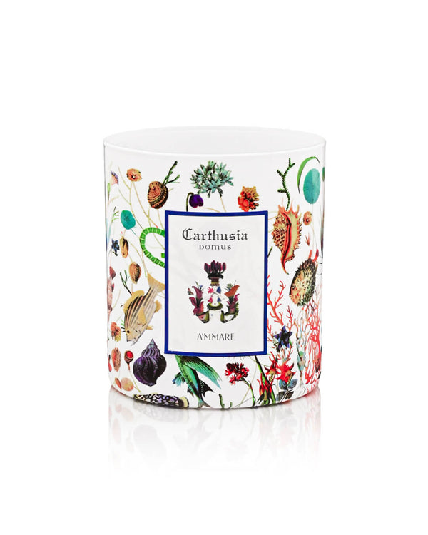 Scented Candle 300gr - A'mmare