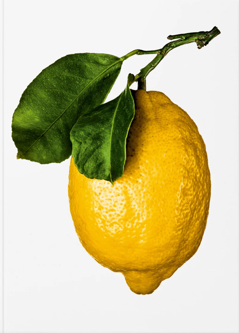 The Gourmand's Lemon. A Collection of Stories and Recipes - Book