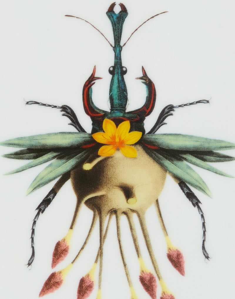 Trinket Tray - Leafbug by La DoubleJ