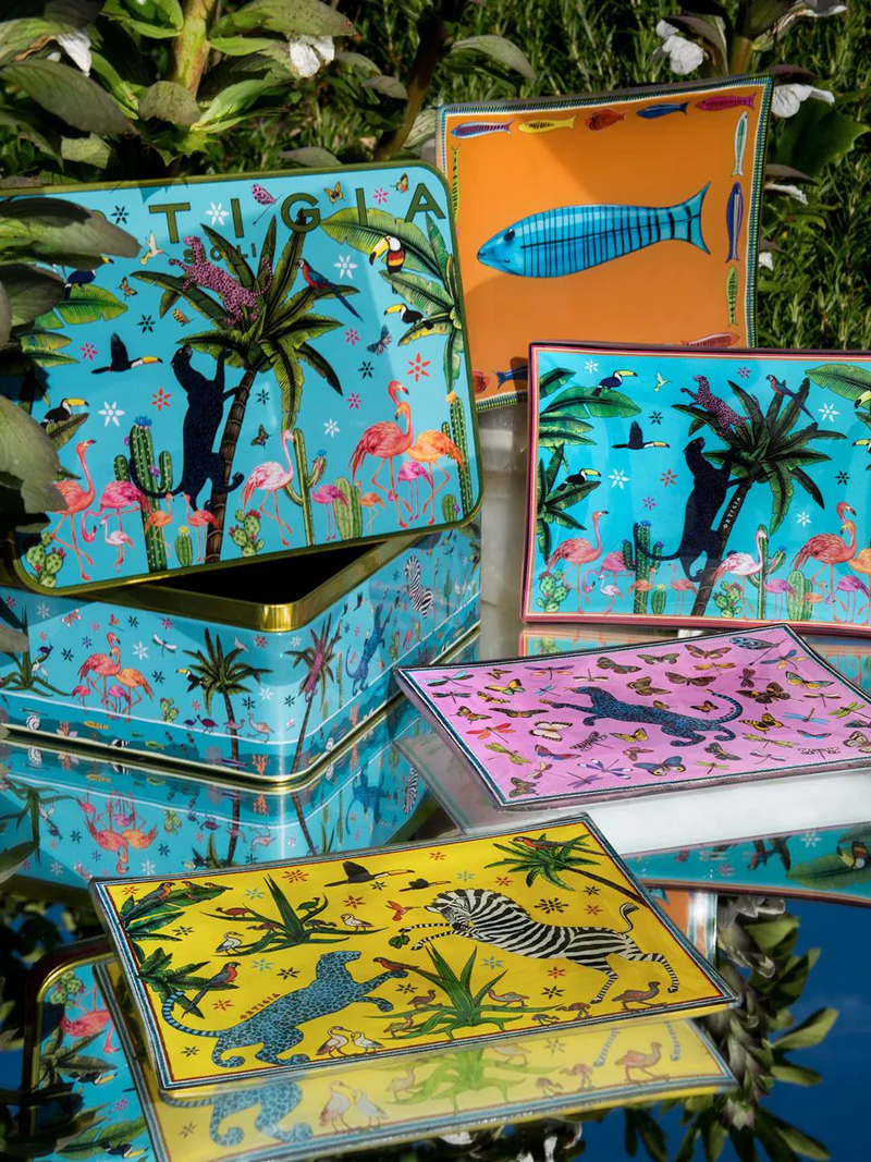 Decorative Tin with 4 Glass Plates - Jungle