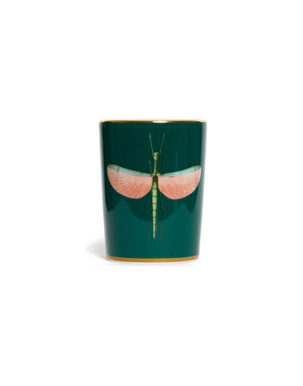 Decorative Cup Libellula Green in Porcelain By La Double J