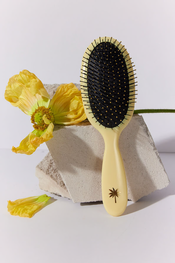 Wet Brush, Medium - Sunshine