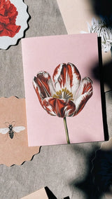 Tulip Leporello Greeting Card