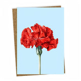 Carnation Leporello Greeting Card