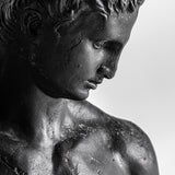 Bust - Male