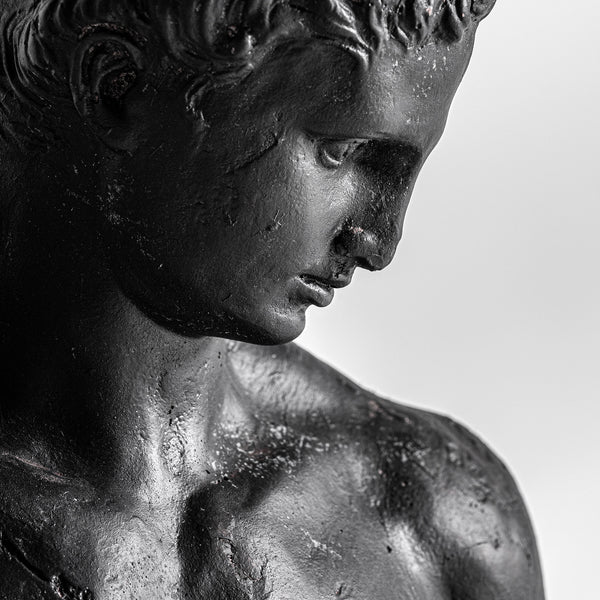 Bust - Male