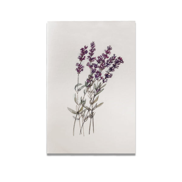 Cards; folded with watercolor painting print - Lavender Bouquet