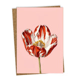 Tulip Leporello Greeting Card