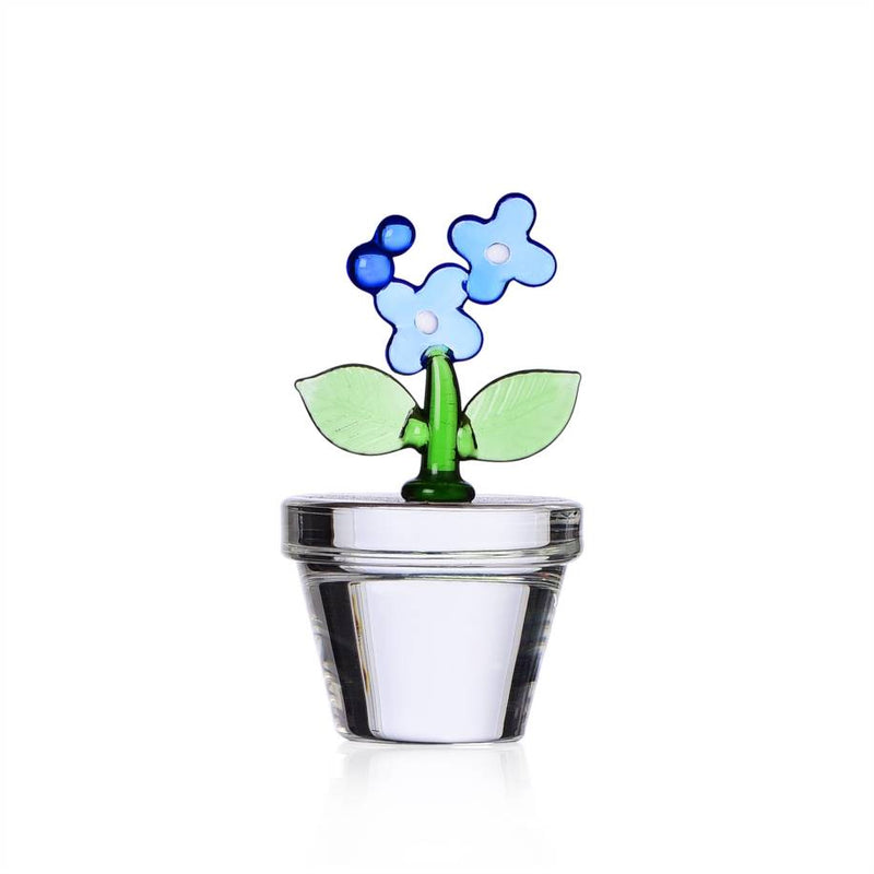 Paperweight/placeholder light blue flower Collection Fruits and Flower