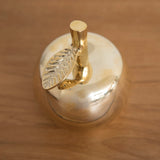 Bottle Opener - Brass Apple